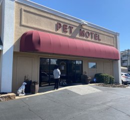 petmotel-web